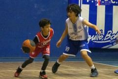 f2_mini-2