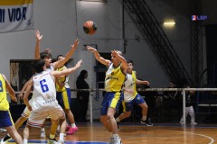 u16_oro-6