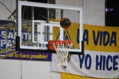 u16_oro-9
