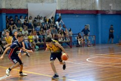 pau13-10