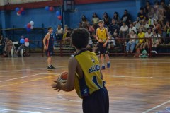pau13-6